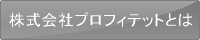 株式会社プロフィテットとは